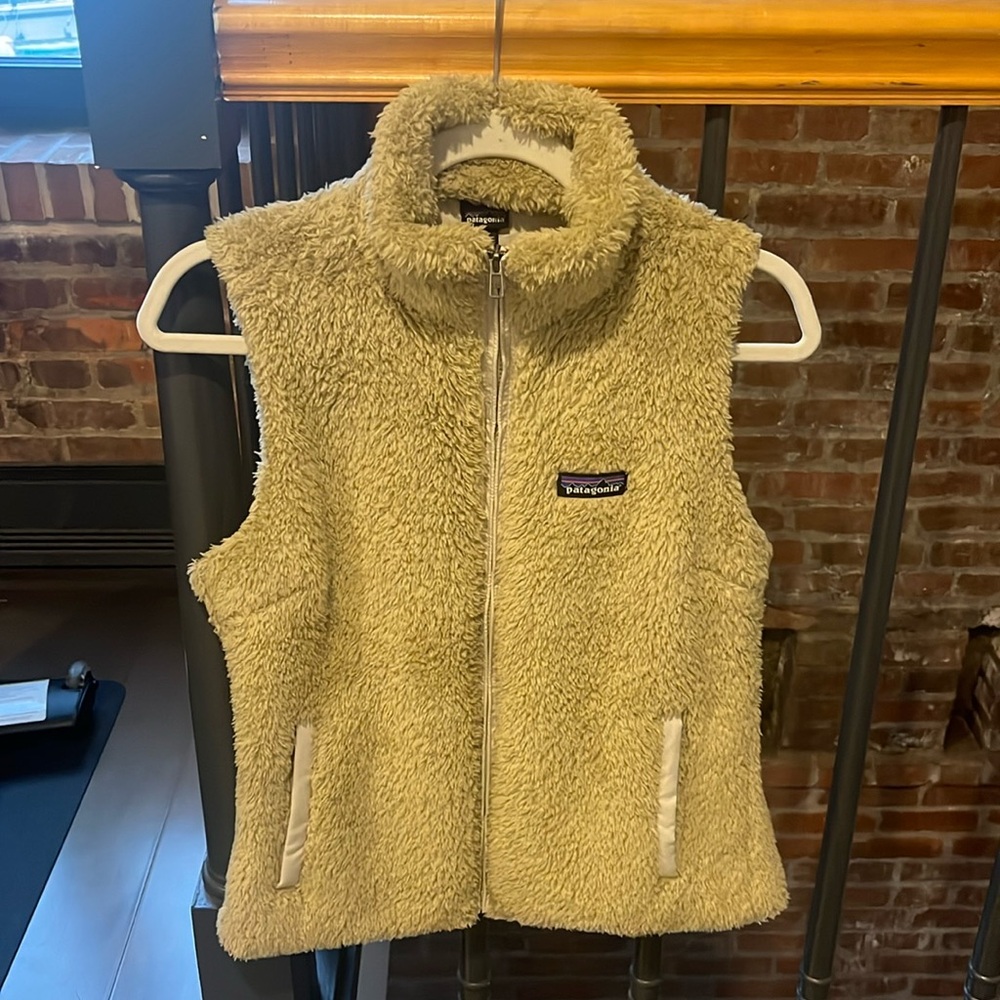 Patagonia vest